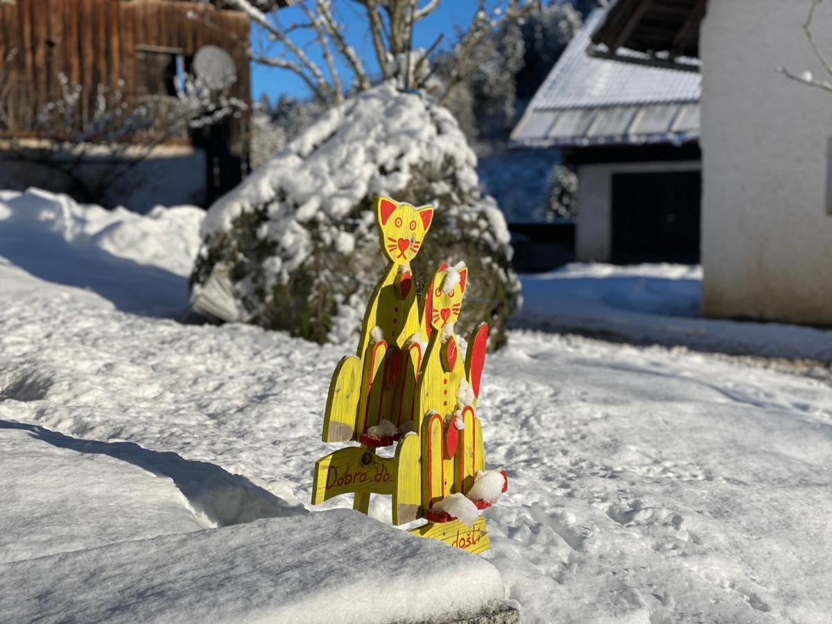 Apartma Jure ゴレンスカ地方 エクステリア 写真
